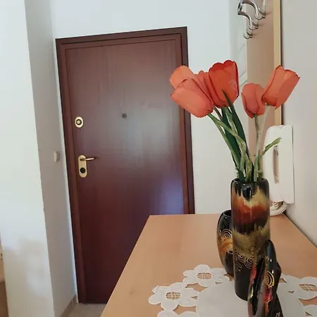 Apartment Smile Baska Voda